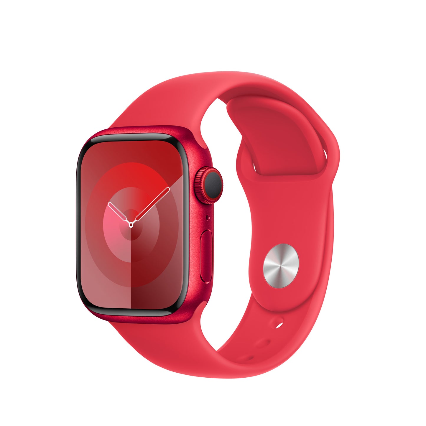 Apple Bands / Sport Band