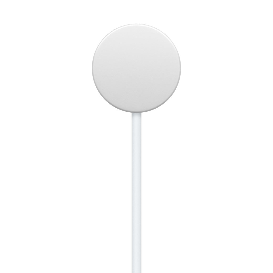 Apple Watch Magnetic Fast Charger to USB-C Cable (1 m)
