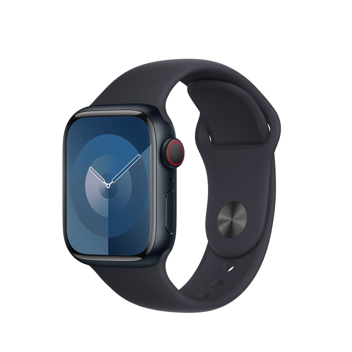 Apple Bands / Sport Band