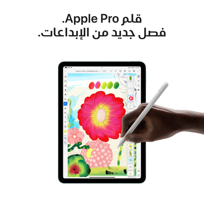 iPad Air 11-inch M3 chip Wi-Fi 256GB