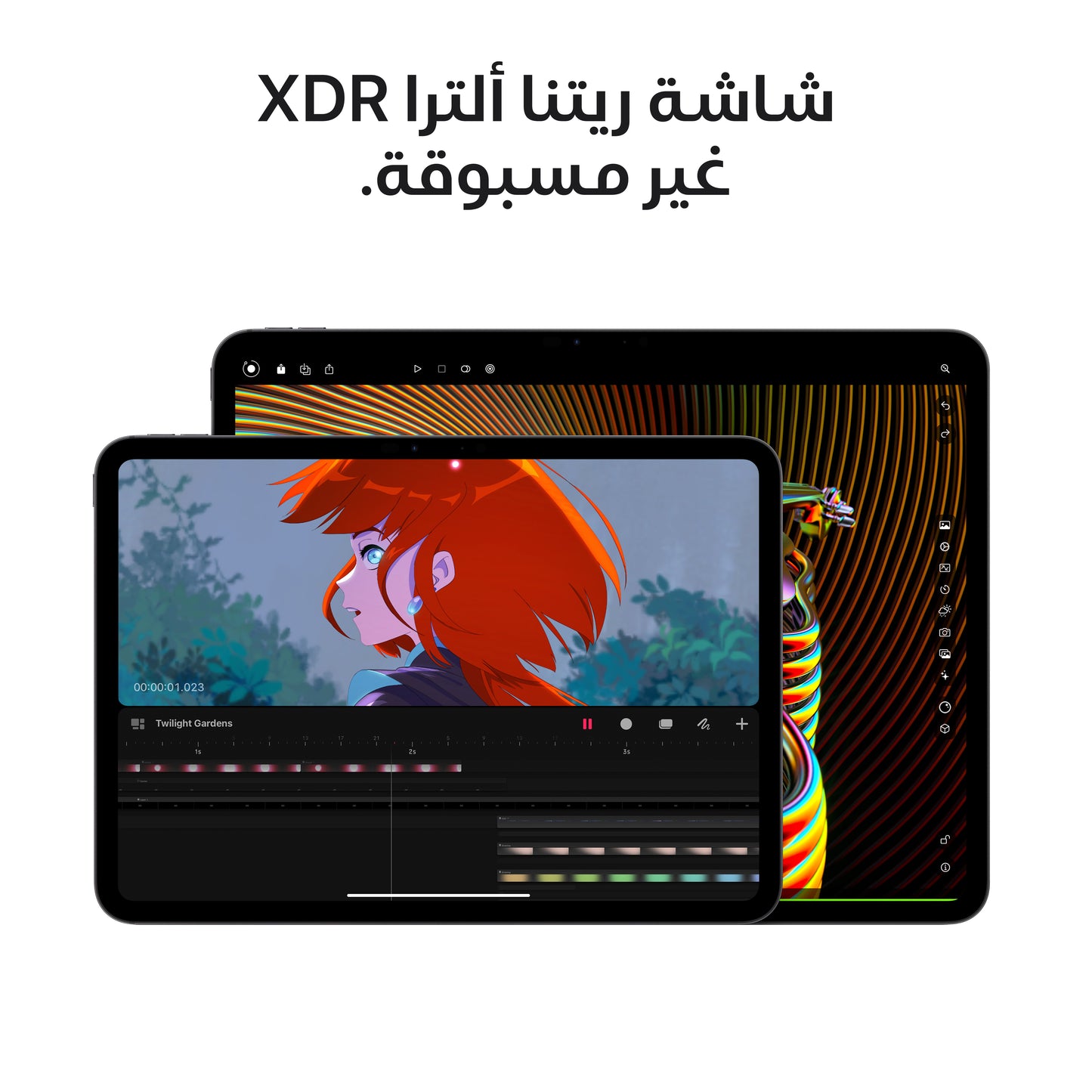 iPad Pro 13-inch M4 chip Wi-Fi + Cellular 256GB