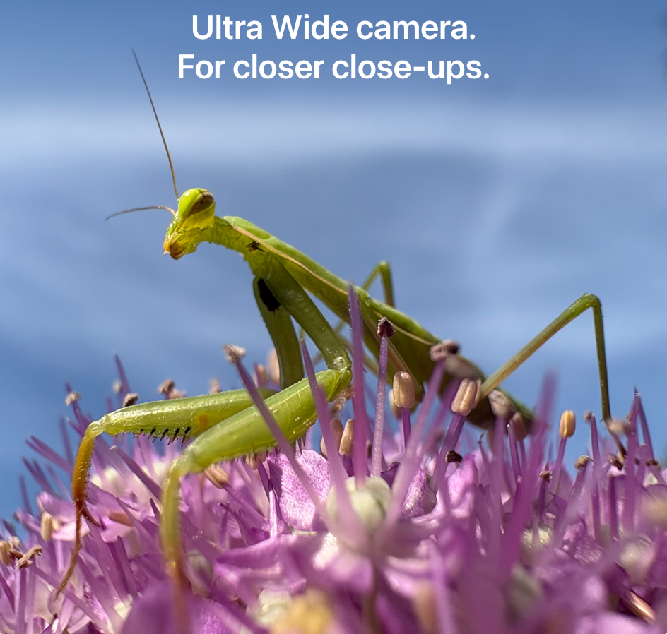 Slideshow image 9
