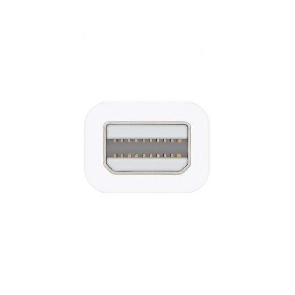 Apple Thunderbolt to FireWire Adapter