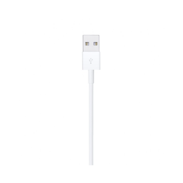 Lightning to USB Cable (2 m)